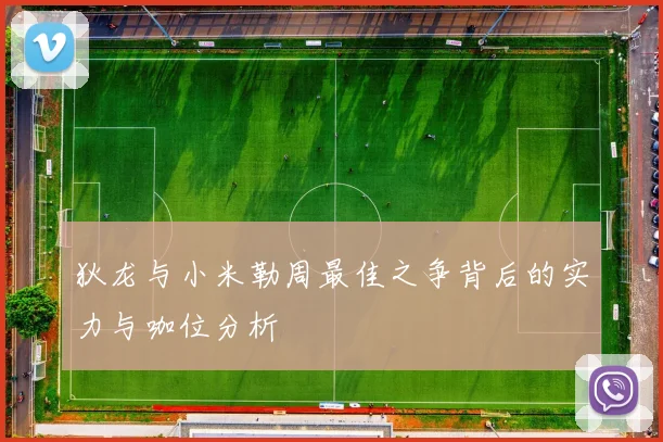 狄龙与小米勒周最佳之争背后的实力与咖位分析