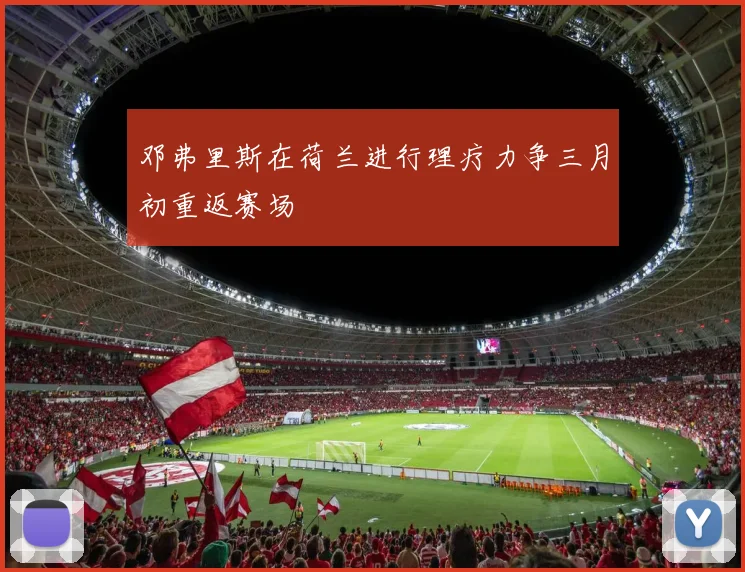 邓弗里斯在荷兰进行理疗力争三月初重返赛场